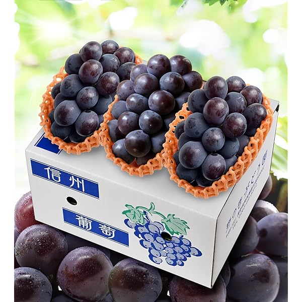 Amazon.co.jp: 豪華お盆セット 【高級もも＋特大ぶどうセット